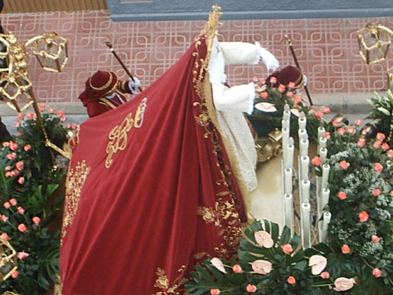 Manto de la virgen Nuestra Señora de los Dolores - Pozo Cañada