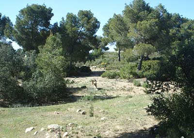 Pozo Cañada