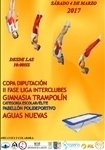 Logo de 'Copa Diputación Gimnasia Trampolín 2017'