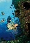 Logo de 'Visión submarina'